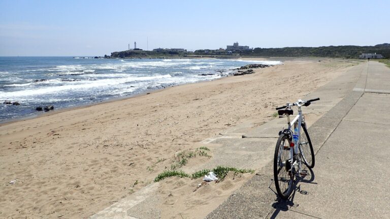 京都 奈良 琵琶湖 自転車 散歩